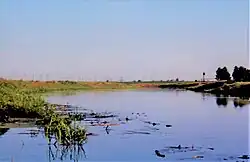 Оресса около города Любань