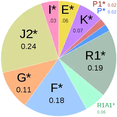 Частота и разнообразие Y-хромосомных гаплогрупп армян.