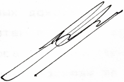 Изображение автографа