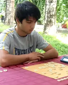 Андраник Артенян на Кубке России по сёги 2013 года в Суздале