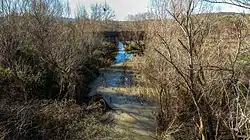 Нижнее течение реки в январе 2019 года