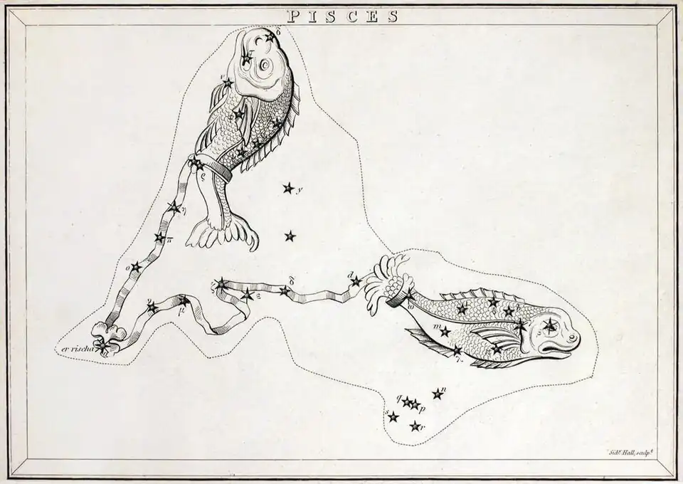 Первое издание «Рыб», без звезд в соседних созвездиях. Не раскрашенная.