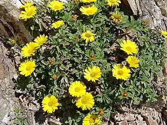 В районе Сеуты, Испания.