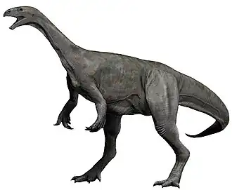 Реконструкция