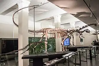 Палеозоологическая выставка