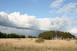 У берега моря в Аудру