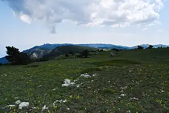 Вид на Ай-Петринскую яйлу с её восточной оконечности. В левой части видны зубцы Ай-Петри, далёкое возвышение в правой части снимка — гора Бодене-Кыр.