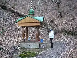 Источник Феодора Студита, исток реки.