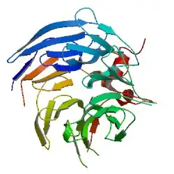 комплекс Bub3 с мотивом Bub1 GLEBS.