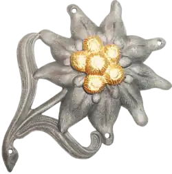 Эмблема горных пехотинцев с цветком эдельвейса, носимая на головных уборах