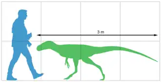 В сравнении с человеком