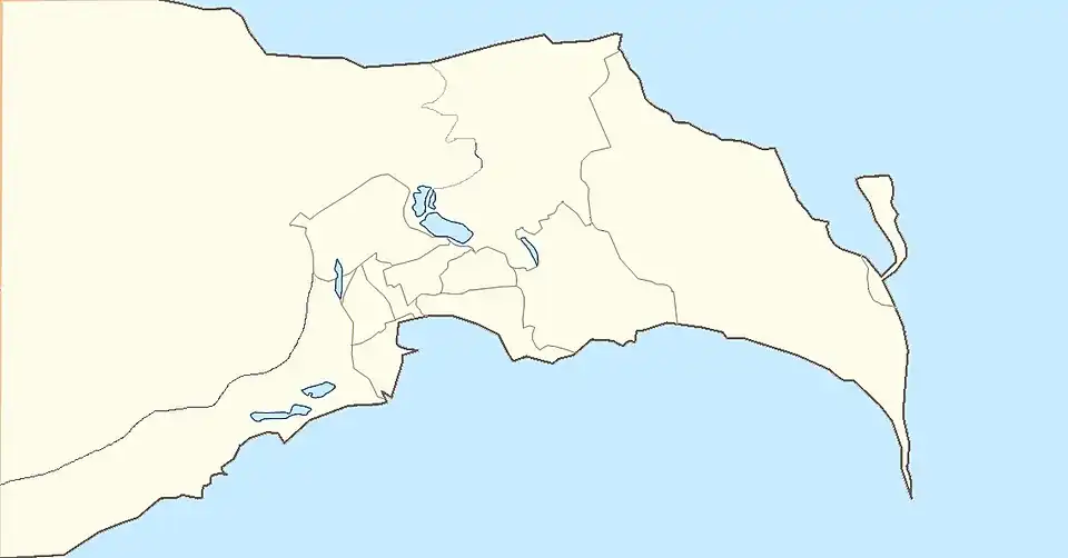 Мечеть Туба-Шахи (Большой Баку)