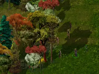 Скриншот программы GemRB