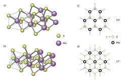 Balls and sticks model of a single layer 1H and 1T molybdenum disulfide