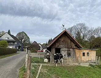 Один из видов в поселении