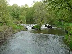 Река Бандья