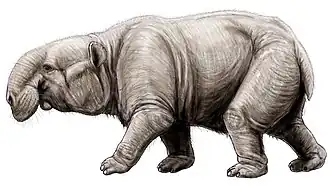 Реконструкция Barytherium grave