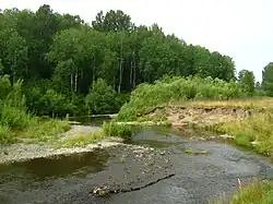 Возле впадения Нефёдовки