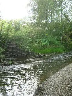 Стреж возле Каштака