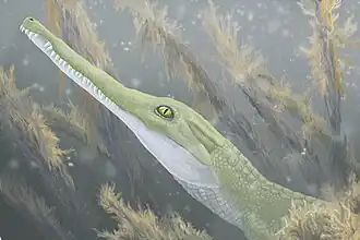 Реконструкция Batrachomimus pastosbonensis