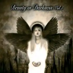 Обложка видео «Beauty in Darkness»