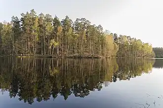 Вид на Бебербекское мельничное озеро с южного берега весной 2014 года