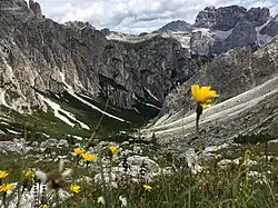 Альпийское высокогорье в парке Доломити-Беллунези