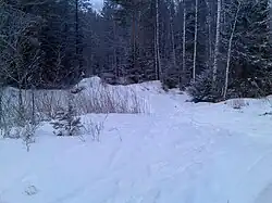 Сворот на Журавлином болоте