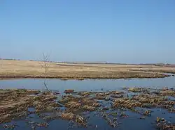 Половодье на Берёзовке