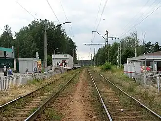 Вид в сторону Санкт-Петербурга, 2021 год