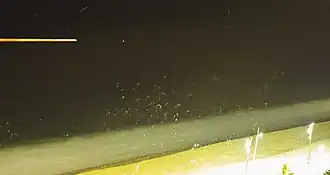 Вид в ночное время