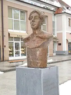 Бюст Катарины Зрински в Чаковце