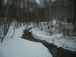 Битца в Ясеневском лесопарке