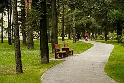 Сосновая аллея 2016 год