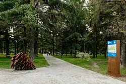 Аллея парка 2016 год