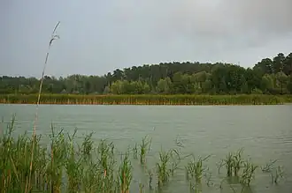 Большое Васильевское озеро