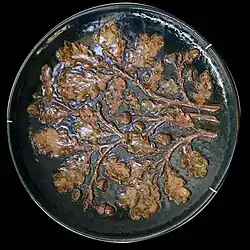 Дубовые листья. Тарель. Керамика. Музей декоративных искусств, Замок Борели, Марсель