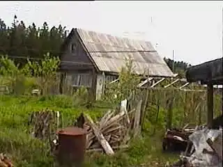 Малые Борницы. 1995 год