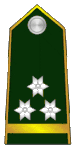 General-pukovnik