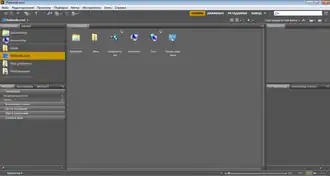 Скриншот программы Adobe Bridge