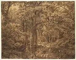 Лесной пейзаж (рисунок углём и мелом на бумаге, ок. 1865), Бруклинский музей, Нью-Йорк