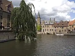 Канал Реи и плакучий бук