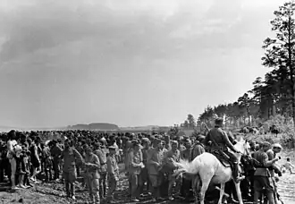 Дрозды 5 июля 1941 года