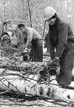 Заготовка древесины, 1986 год