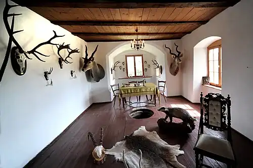 Помещение в замке с охотничьими трофеями