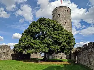 Восточный бергфрид