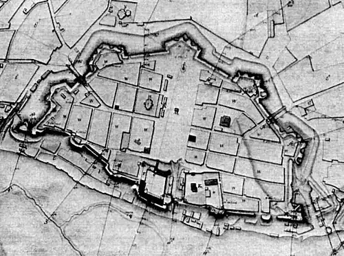 План Быхова