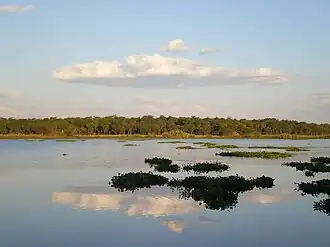 Фото сделано в 2011 году