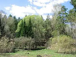 Ботсад летом