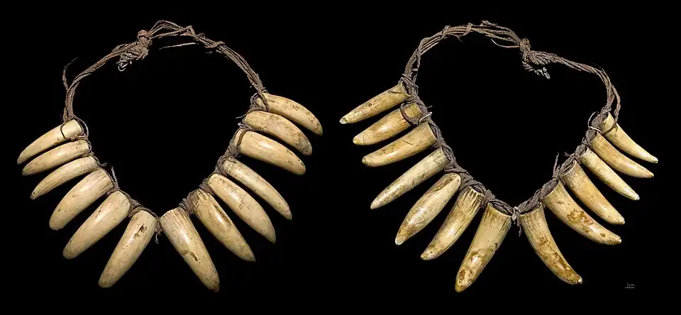 Collier de dents de cachalot - Fidji
